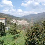 بيت ضيافة Tere